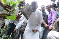 Maestro Ilayaraja Birthday 